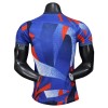 Maillot de Foot Barcelone Special Edition 2025-26 Bleue