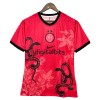Maillot de Foot Inter Milan Special Edition 2025-26