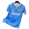 Maillot de Foot Santos FC Dragon 2025-26 Bleue Maillot de Foot Santos FC Dragon 2025-26 Bleue