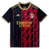 Maillot de Foot Benfica Special Edition 2025-26