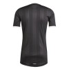 Maillot de Foot Gardien Aston Villa 2025-26 Noire