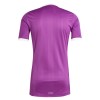 Maillot de Foot Gardien Aston Villa Purple Version 2025-26