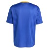 Maillot de Foot Boca Juniors Terrace Icons 2025-26