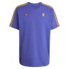 Maillot de Foot Manchester United Terrace Icons 2025-26