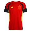 Belgique Maillot d'Entraînement Coupe du Monde 2026 Rouge