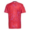 Maillot de Foot Costa Rica Domicile Coupe du Monde 2026