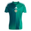 Maillot de Foot Irlande Du Nord Domicile Coupe du Monde 2026