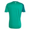 Maillot de Foot Irlande Du Nord Domicile Coupe du Monde 2026