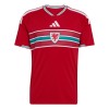 Maillot de Foot Pays de Galles Domicile Coupe du Monde 2026