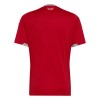 Maillot de Foot Pays de Galles Domicile Coupe du Monde 2026