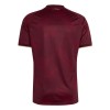 Maillot de Foot Venezuela Domicile Coupe du Monde 2026