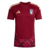 Maillot de Foot Gardien Italie Domicile Coupe du Monde 2026 Rouge Maillot de Foot Gardien Italie Domicile Coupe du Monde 2026 Rouge