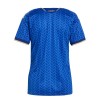 Maillot de Foot Italie Domicile Coupe du Monde 2026 Femme