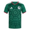 Maillot de Foot Mexique Domicile Coupe du Monde 2026 Maillot de Foot Mexique Domicile Coupe du Monde 2026