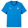 Maillot de Foot Islande Domicile Coupe du Monde 2026 Maillot de Foot Islande Domicile Coupe du Monde 2026