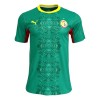 Maillot de Foot Sénégal Exterieur Coupe du Monde 2026