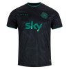 Maillot de Foot Irlande Special Edition 2025-26