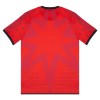 Maillot de Foot Venezia Quatrième 2025-26