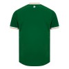 Maillot de Foot Irlande Domicile 2026-27