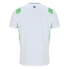 Maillot de Foot Irlande Exterieur 2026-27