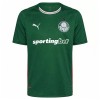 Maillot de Foot Palmeiras Domicile 2026-27
