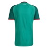 Maillot de Foot Algérie Exterieur Coupe du Monde 2026