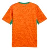 Maillot de Foot Côte d Ivoire Domicile Coupe du Monde 2026