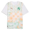 Maillot de Foot Côte d Ivoire Exterieur Coupe du Monde 2026