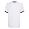 Maillot de Foot Hongrie Exterieur Coupe du Monde 2026