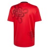 Maillot de Foot Manchester United Cultural Story Special Edition 2025-26