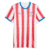 Maillot de Foot Paraguay Domicile Coupe du Monde 2026