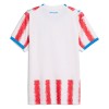 Maillot de Foot Paraguay Domicile Coupe du Monde 2026