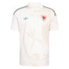 Maillot de Foot Pays de Galles Exterieur Coupe du Monde 2026
