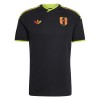 Maillot de Foot Pérou Exterieur Coupe du Monde 2026 Maillot de Foot Pérou Exterieur Coupe du Monde 2026