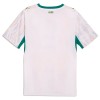 Maillot de Foot Sénégal Domicile Coupe du Monde 2026