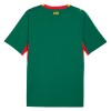 Maillot de Foot Sénégal Exterieur Coupe du Monde 2026