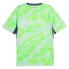 Maillot de Foot Suisse Exterieur Coupe du Monde 2026