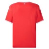Maillot de Foot Tunisie Domicile Coupe du Monde 2026