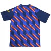 Maillot de Foot Espagne Pre-Match Coupe du Monde 2026