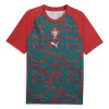 Maillot de Foot Portugal Pre-Match Coupe du Monde 2026 Rouge