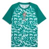 Maillot de Foot Portugal Pre-Match Coupe du Monde 2026 Verte