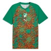 Maillot de Foot Côte d Ivoire Pre-Match Coupe du Monde 2026