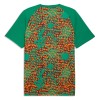 Maillot de Foot Côte d Ivoire Pre-Match Coupe du Monde 2026