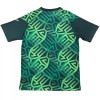 Maillot de Foot Mexique Pre-Match Coupe du Monde 2026