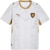 Maillot de Foot République Tchèque Exterieur Coupe du Monde 2026