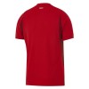 Maillot de Foot Turquie Domicile Coupe du Monde 2026