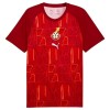 Maillot de Foot Ghana Pre-Match Coupe du Monde 2026 Maillot de Foot Ghana Pre-Match Coupe du Monde 2026