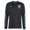 Maillot de Foot Mexique Third Coupe du Monde 2026 Manche Longue