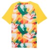 Maillot de Foot Sénégal Pre-Match Coupe du Monde 2026