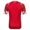 Maillot de Foot Tunisie Exterieur Coupe du Monde 2026